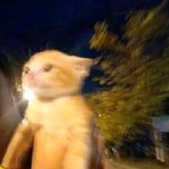 Meet your Posher, Federico - Picture 1 of 1